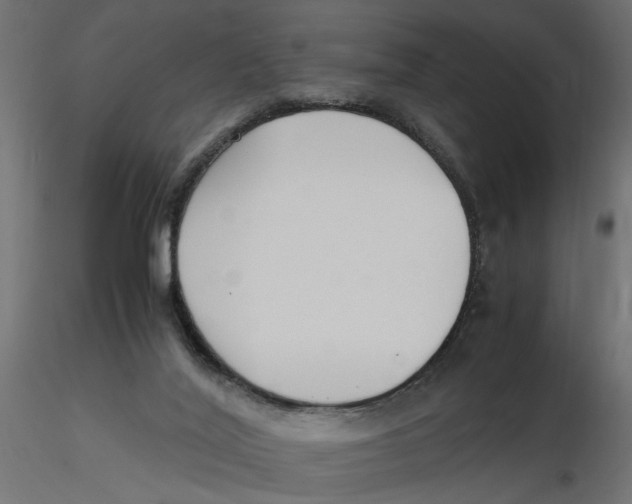 X0000116560020200912311942