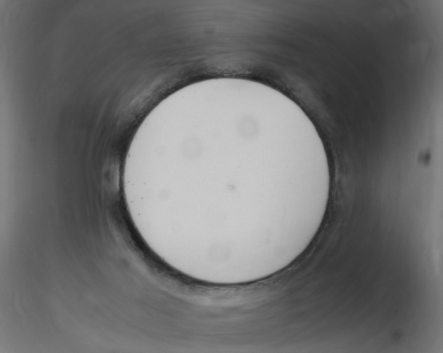 X0000116560021200912311942