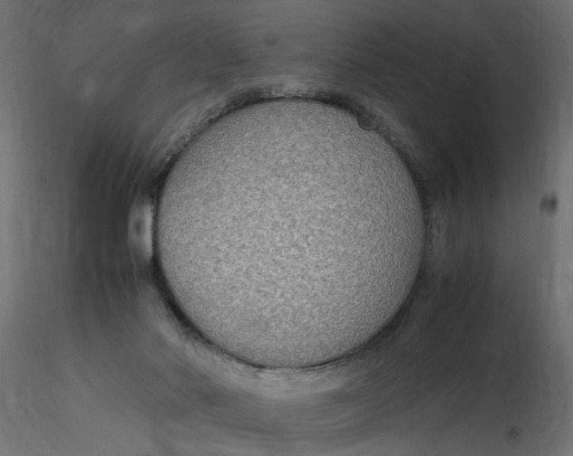X0000116560022200912311942