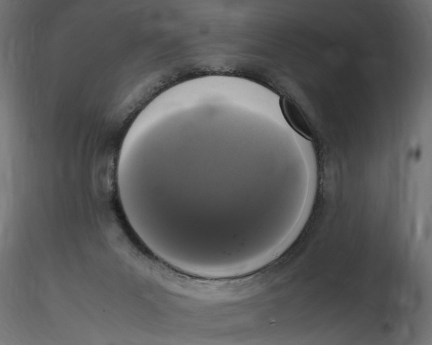 X0000116560023200912311942