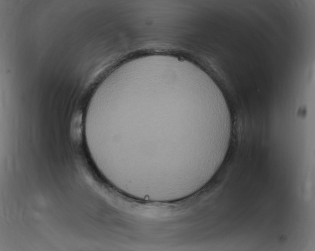 X0000116560024200912311942