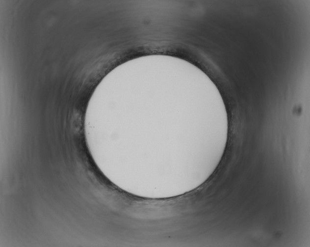 X0000116560025200912311942