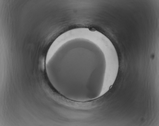 X0000116560027200912311942