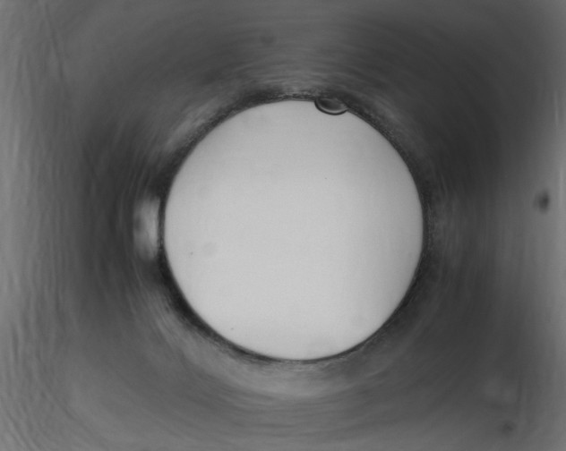 X0000116560028200912311942