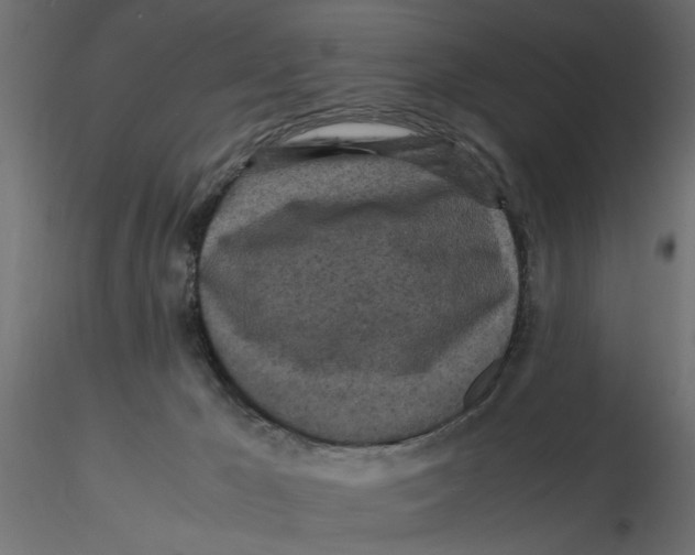 X0000116560029200912311942