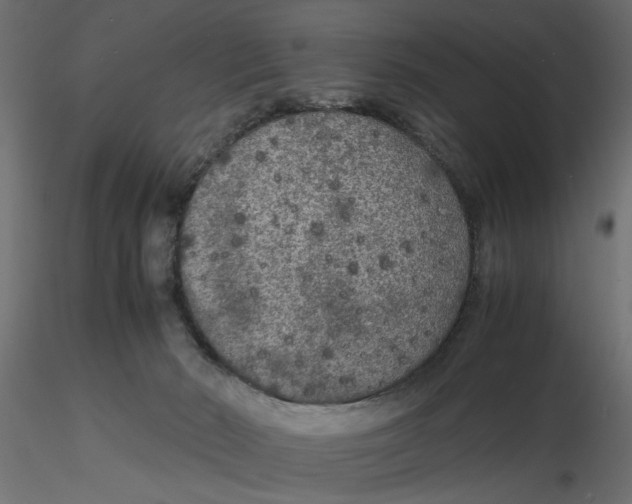 X0000116560030200912311942
