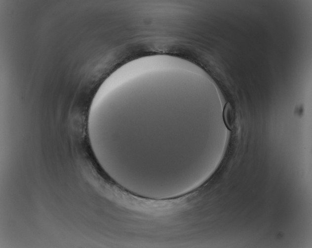 X0000116560031200912311942