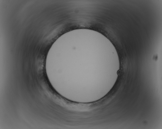 X0000116560032200912311942