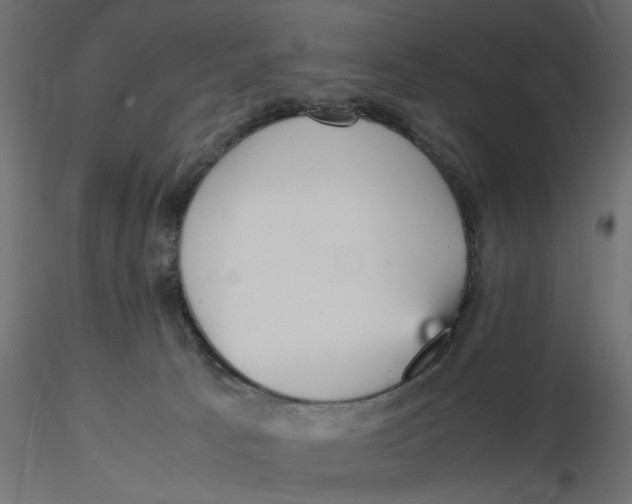 X0000116560033200912311942