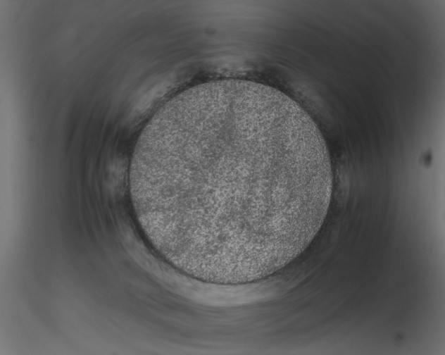 X0000116560034200912311942