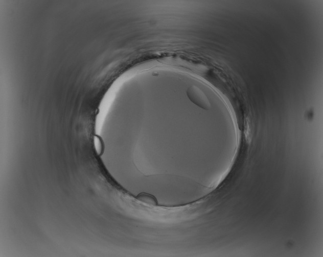 X0000116560035200912311942