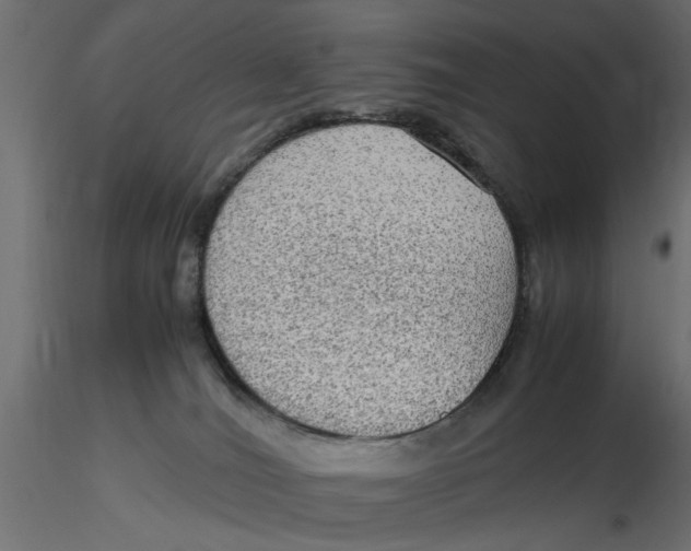 X0000116560036200912311942