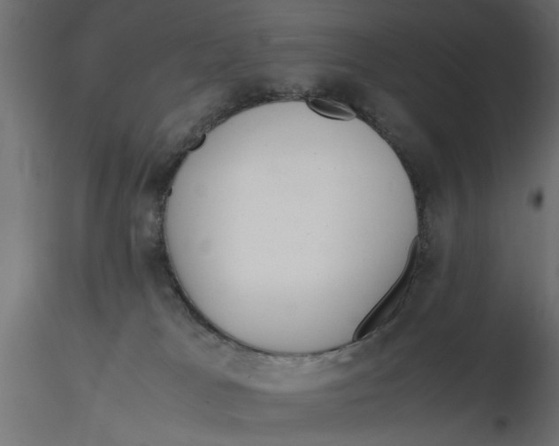 X0000116560037200912311942