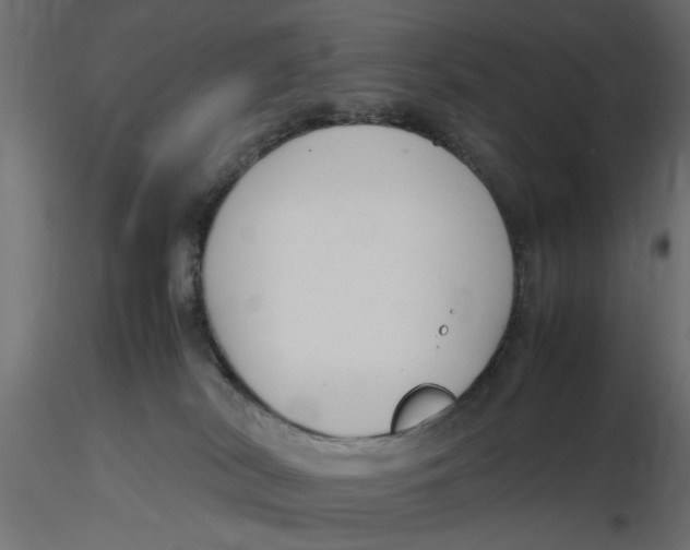 X0000116560038200912311942