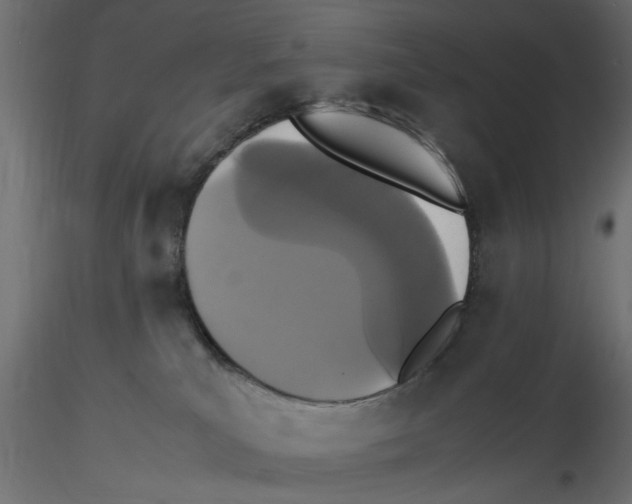 X0000116560039200912311942