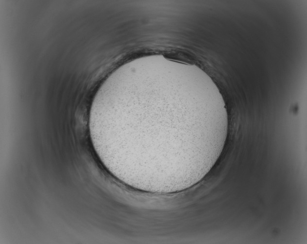 X0000116560040200912311942
