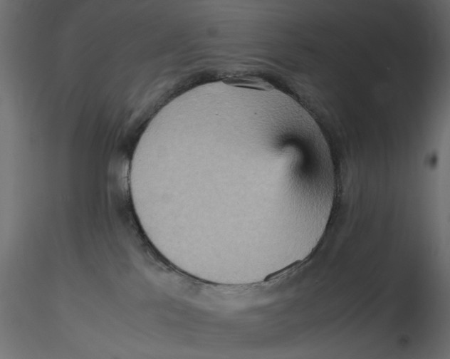 X0000116560041200912311942