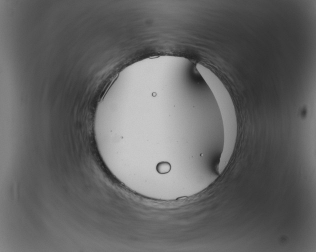 X0000116560043200912311942