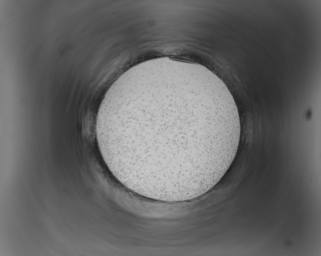 X0000116560044200912311941