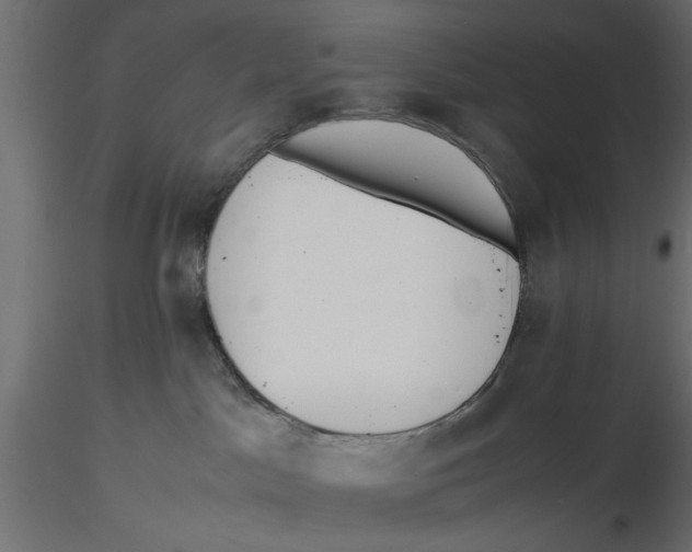 X0000116560045200912311941