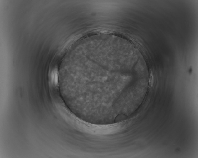 X0000116560046200912311941