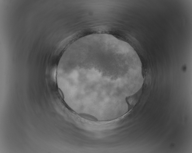 X0000116560047200912311941