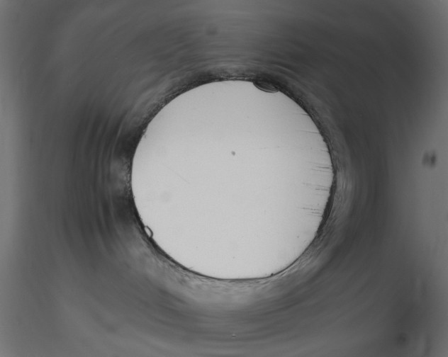 X0000116560048200912311941