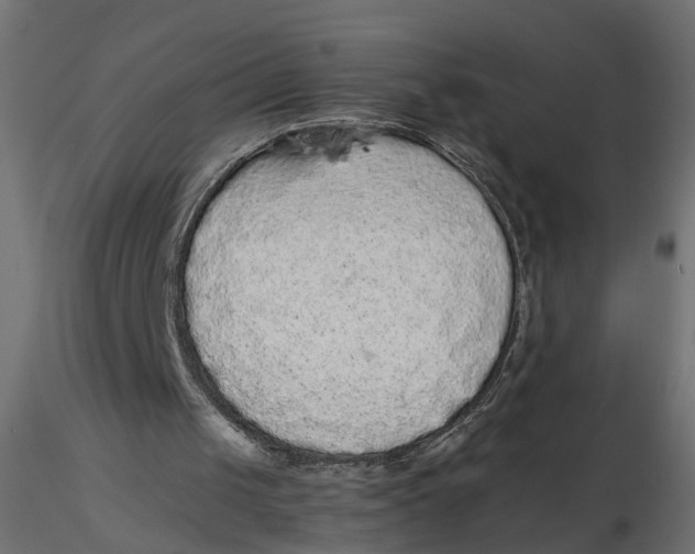 X0000116560049200912311941