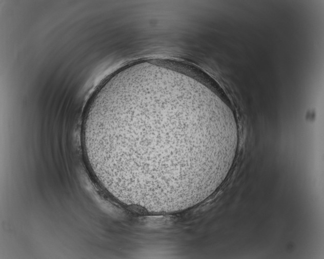 X0000116560050200912311941