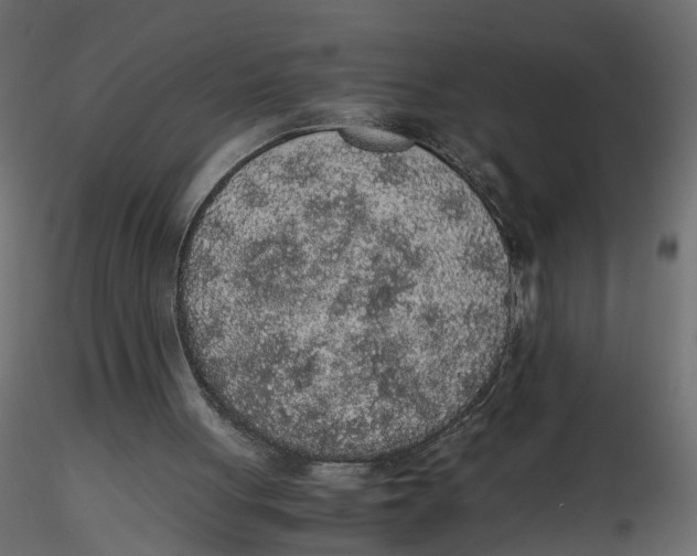 X0000116560051200912311941