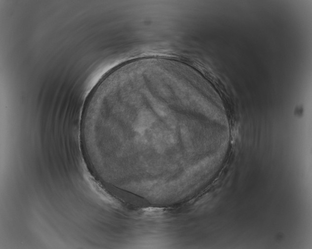 X0000116560052200912311941