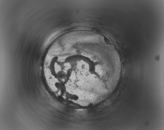 X0000116560053200912311941