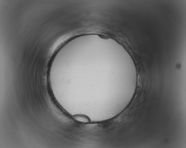 X0000116560054200912311941