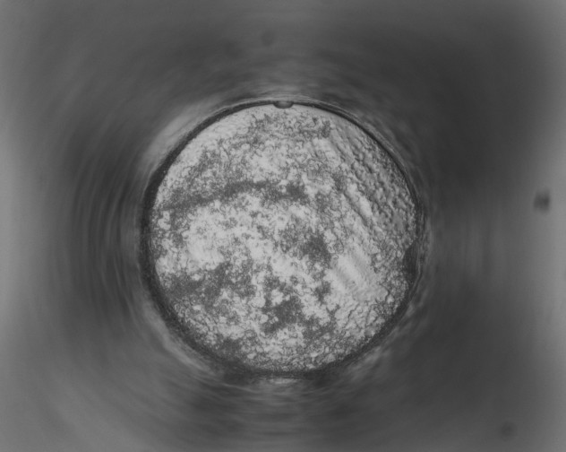 X0000116560055200912311941