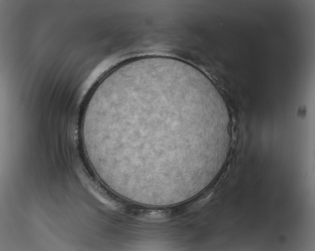 X0000116560056200912311941