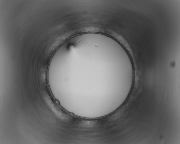 X0000116560057200912311941