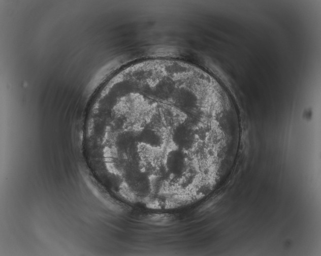 X0000116560059200912311941