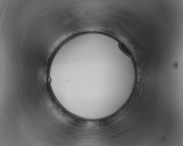 X0000116560060200912311941