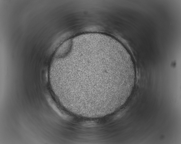 X0000116560061200912311941