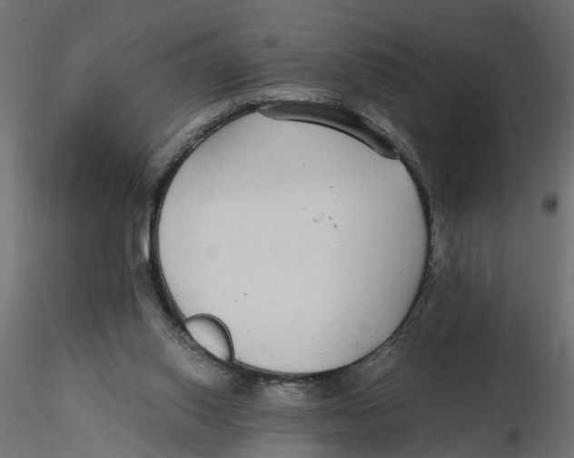 X0000116560062200912311941