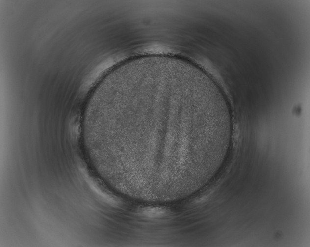X0000116560063200912311941