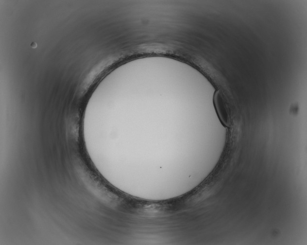 X0000116560064200912311941