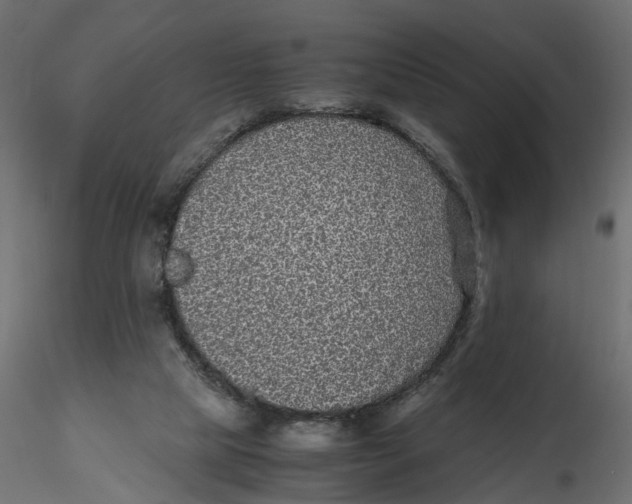 X0000116560065200912311941