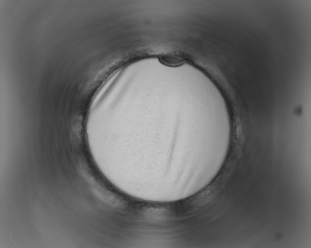 X0000116560066200912311941