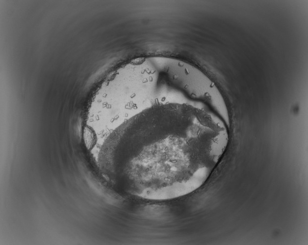 X0000116560067200912311941