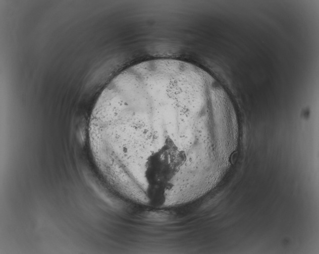 X0000116560069200912311941
