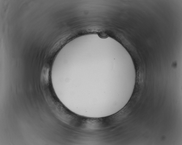 X0000116560070200912311941