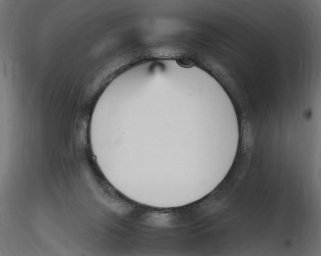 X0000116560071200912311941