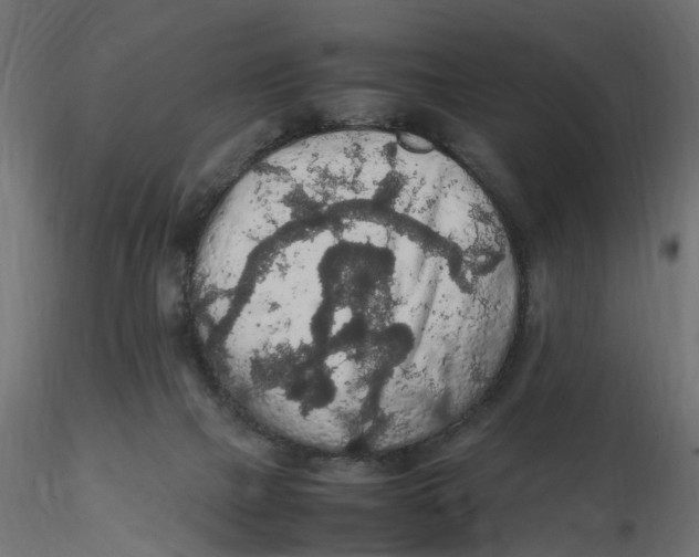 X0000116560073200912311941