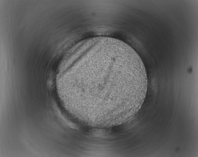 X0000116560074200912311941